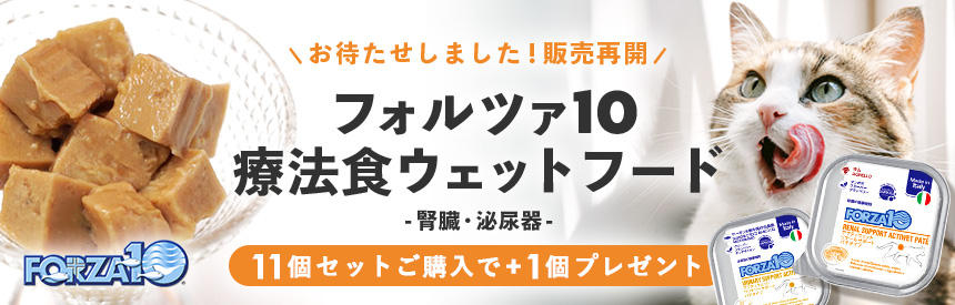 【販売再開】『フォルツァ10』療法食（腎臓・泌尿器）ウェットフード◎11個＋1個