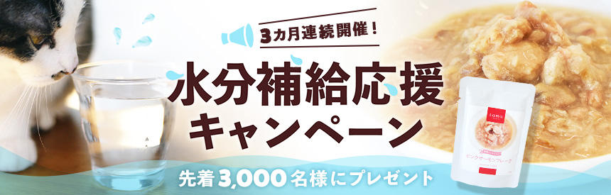 【先着3,000名様】3カ月連続「水分補給応援」キャンペーン◎ウェットフード【全員】プレゼント