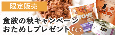 食欲の秋プレゼント