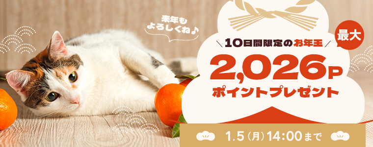 ポイントプレゼント