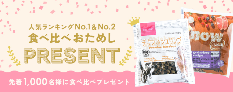 お試しプレゼント