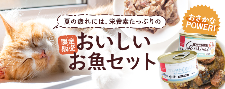お魚