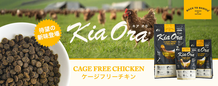 キアオラチキン