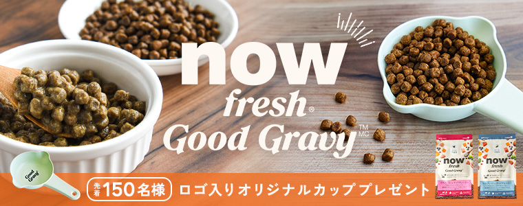 ナウカッププレゼント