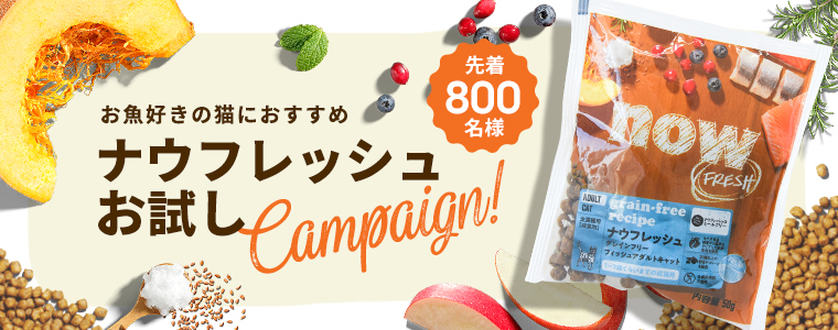 ナウお試し