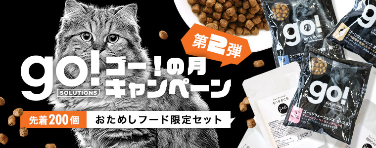 ゴーセット