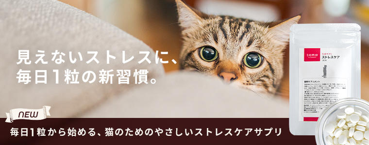 ストレスケア
