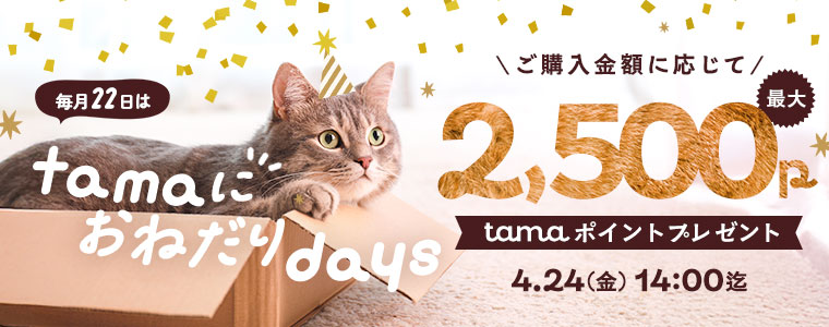 tamaにおねだり