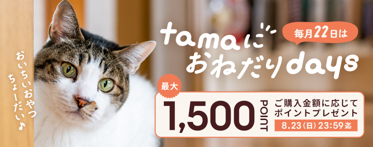 ポイントプレゼント