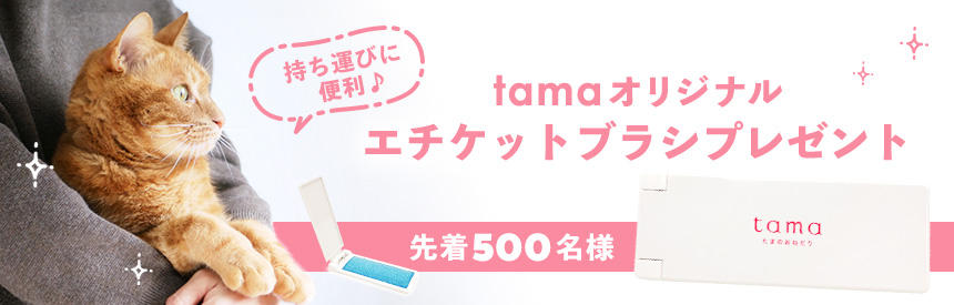 公式】プレミアムキャットフード専門店「たまのおねだり（tama