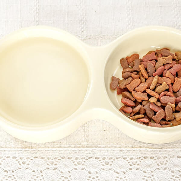 無添加キャットフード