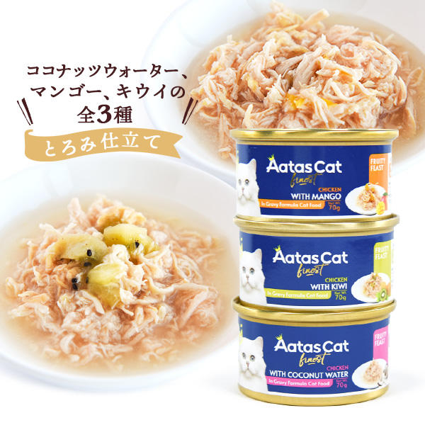 フルーティー フィースト ～ とろみ仕立て ～