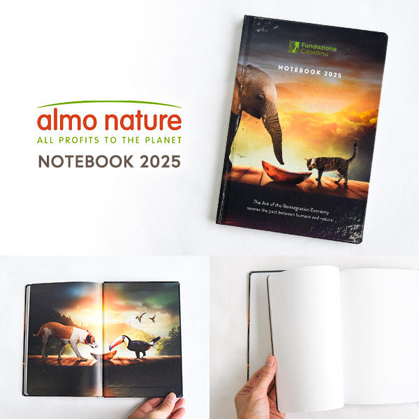 ハードカバーの美しい装丁で、地球上で暮らす生き物への理念に触れることができるようなデザイン