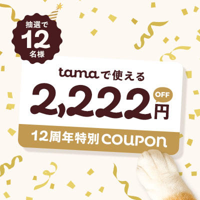 tamaで使える2,222円クーポンは抽選で12名様にプレゼント