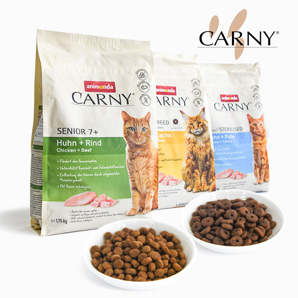 シニアの猫のために消化に優れたレシピで、関節や腎臓に配慮しました。