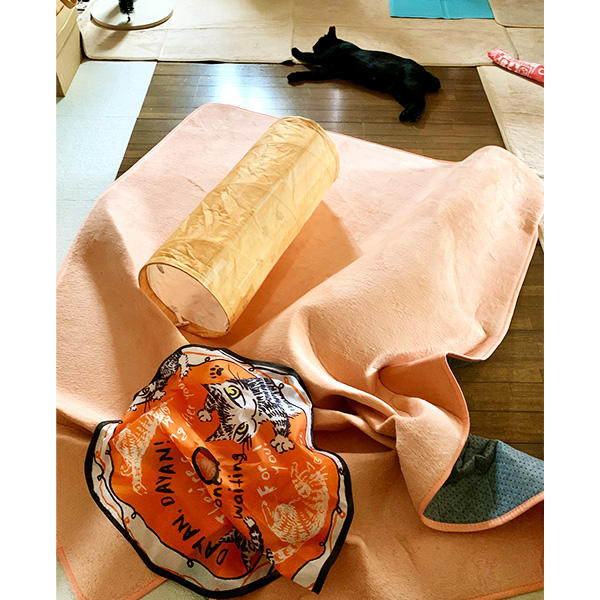 大胆に暴れまわった後に寝転ぶ姿がやり遂げた感にあふれていて愛おしいです。