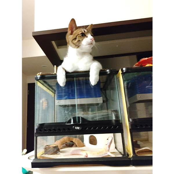 なんですか、このかわいいおすまし顔は(๑˃▿˂๑)こっち向いて―♪