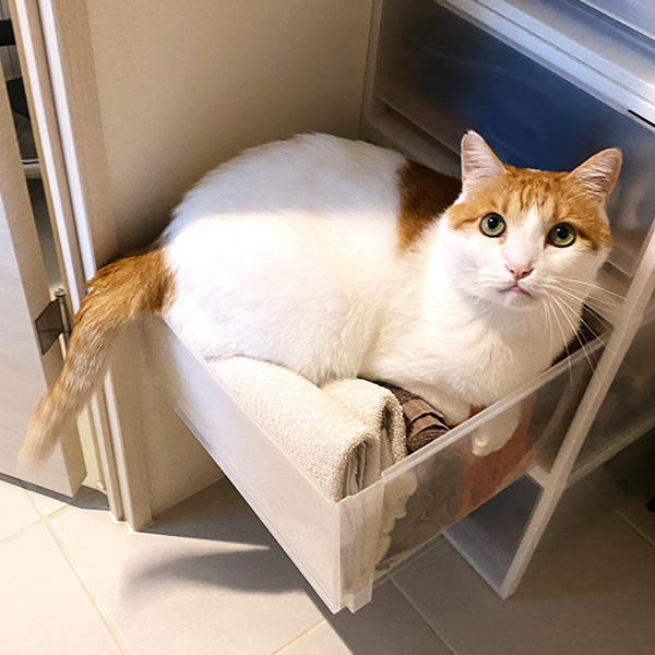 重いけどかわいいって、まさに重量級の愛ですね♪