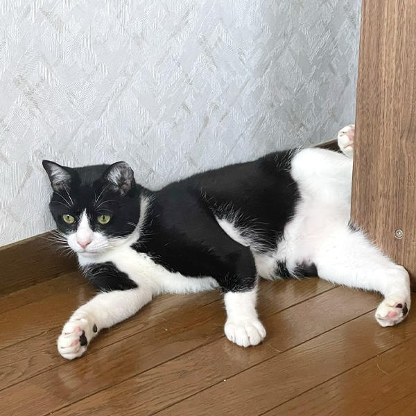 お股が角に当たってる感じが落ち着くのかな？無の表情ですね。