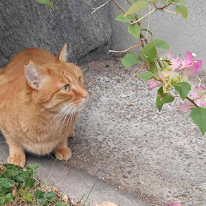 お花の美しさにうっとりしているのかな？