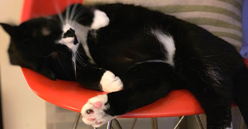 駆け抜けてお疲れ気味。平成最後のゴローショット