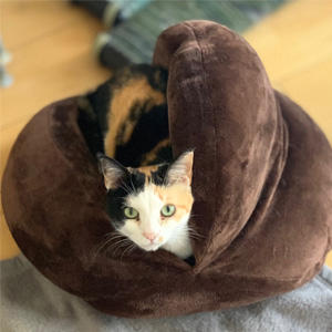 かわいいイチゴちゃんって呼んでもいいわよ♪え？想像していたのとちょっと違うっですって？マエダは、「かわいいね♪」って言ってくれたわよ。