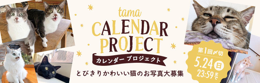 【5月24日(日)まで】tamaのカレンダープロジェクト「とびきり、かわいい！」猫のお写真大募集