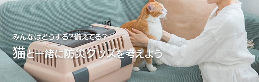 みんなはどうする？備えてる？猫と一緒に防災グッズを考えよう