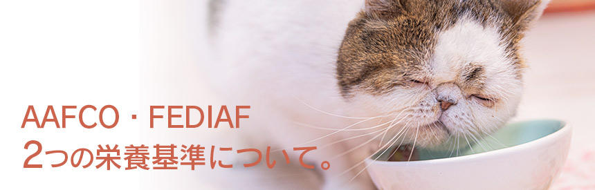 基本をチェック。キャットフードの栄養基準と「AAFCO」「FEDIAF」について[#猫研究所]