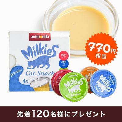 TALKパーツ（アイコン名前）