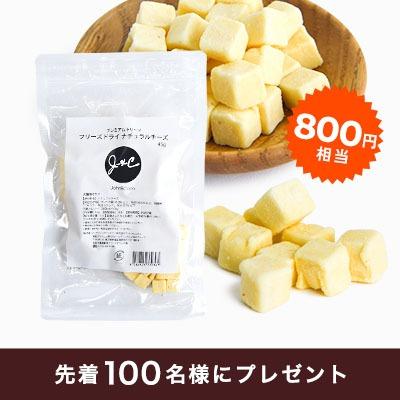 右配置テキスト画像