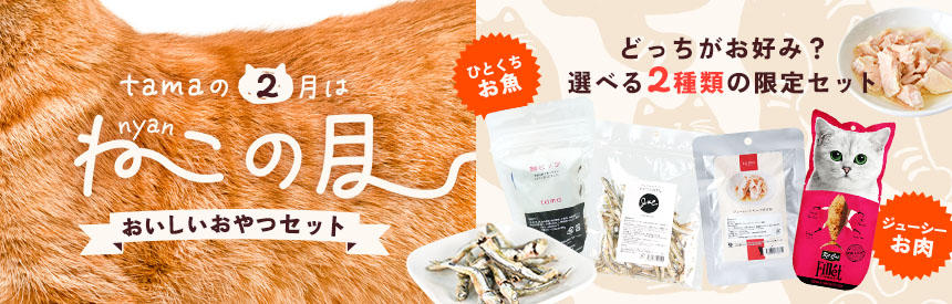 完売【最大33.3％オフ】ひと口お魚？獲物みたいなジューシーさ？2種類の特別セット