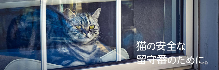 猫を留守番させるときの室温は？安全に過ごしてもらうためのチェックポイント