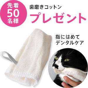 プレゼントは終了しました。