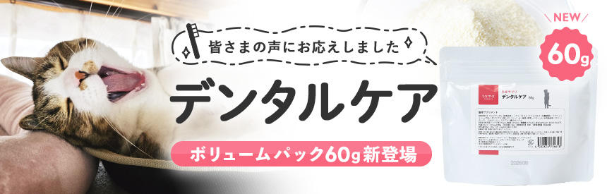 【新発売】皆さまの声にお応えしました。毎日続けやすい価格の「デンタルケア」ボリュームパックが新登場