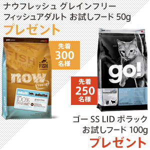 お試しプレゼントは終了しました。