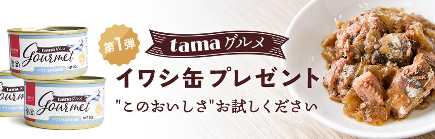 【先着500名様】“どれだけおいしいか”お試しください◎第①弾「tama グルメ イワシ」プレゼント