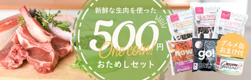 【限定販売】生肉からつくるおいしさを◎お試し《5種》＋オマケ（250円相当）付き