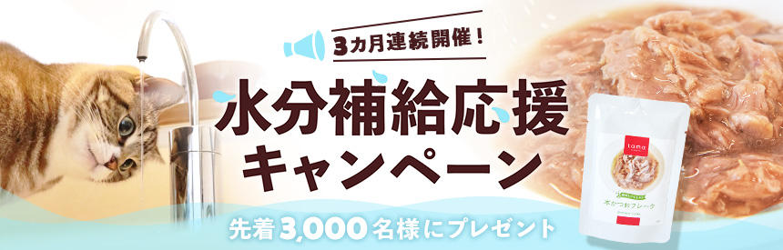 【先着3,000名様】3カ月連続「水分補給応援」キャンペーン◎ウェットフード【全員】プレゼント