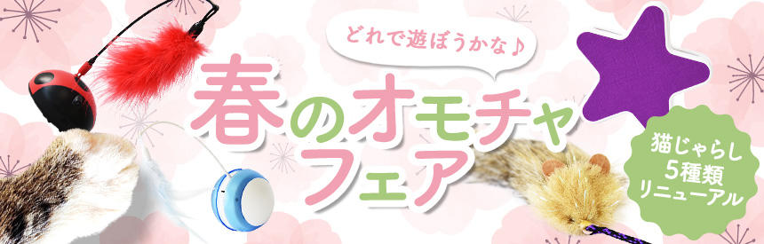 【新入荷】猫じゃらし？電動式？どれで遊ぼうかな♪春のオモチャフェア