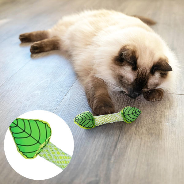 フレッシュミント･スティック / 880円