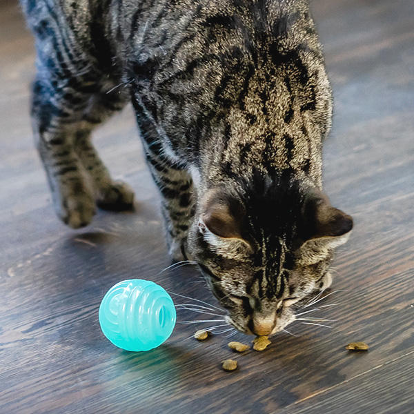 トリーツ・スタッファー / 990円