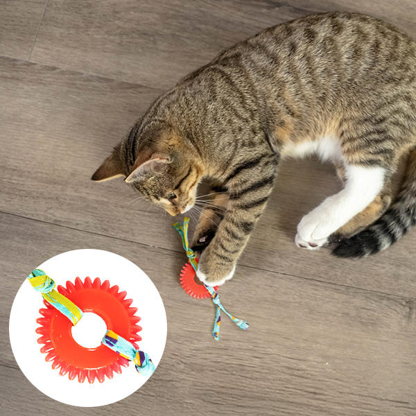 キティー･チュー･ホイール / 770円