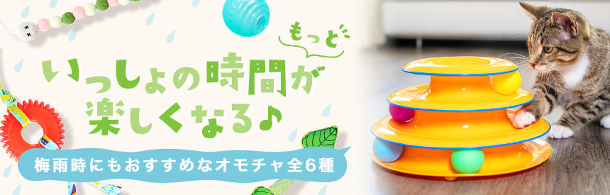 【新入荷】一緒の時間がもっと楽しくなる♪遊び方も様々な《6種類》のオモチャ