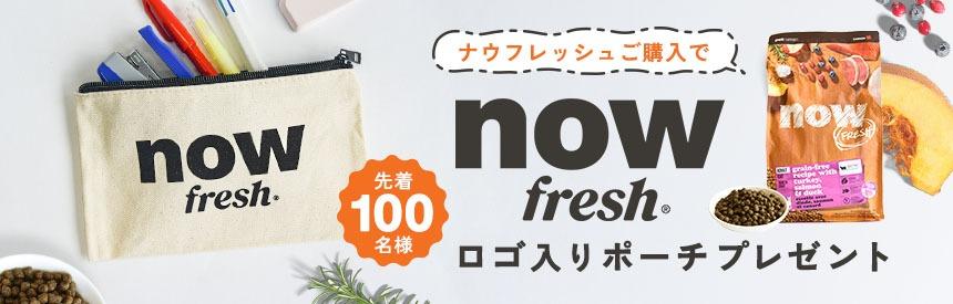 終了【先着100名様】リップや目薬、イヤホンなど◎便利に使える「ナウフレッシュ」ロゴ入りポーチ（非売品）プレゼント
