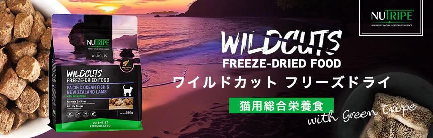 【新発売】フリーズドライのおいしい総合栄養食「ニュートライプ」から、新登場◎もちろん、グリーントライプ入り