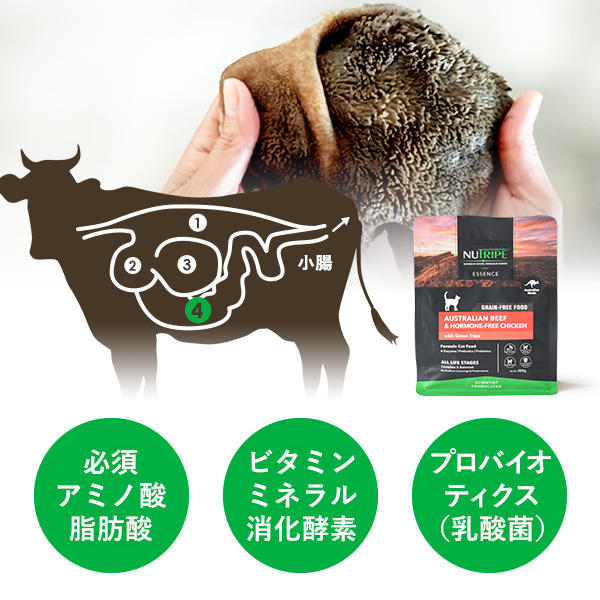 消化酵素やプロバイオティクスなど生肉には含まれない栄養も豊富な「グリーントライプ」