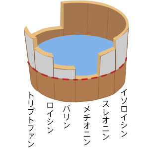 一番少ないアミノ酸が一番低い桶版となり、どれだけ利用されるかが決まります。