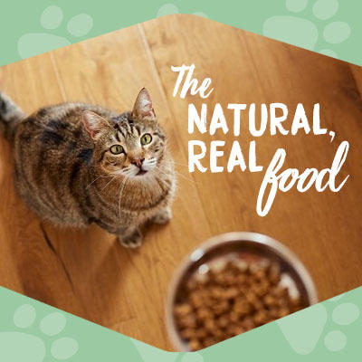 『オーナット』は《リアルフード》という考えを大切にレシピを設計しています。