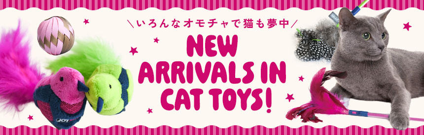 【新入荷】遊びはスポーツだ◎スポーティーなオモチャNEW